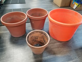 Assorted Used Plant Pots