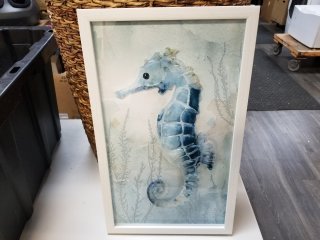 New Framed Seahorse Print, 14x20 in