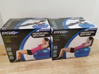 New Pro-Tec Exercise Balls (2)
