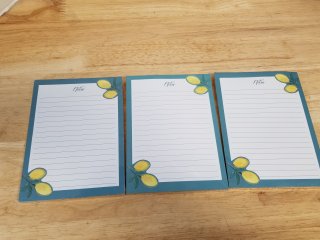 New Lemon Notepads Set, 300 pages