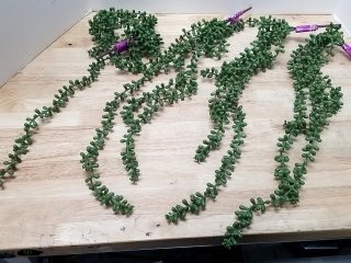 New Artificial Succulent Vines