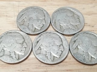 Lot of 5 Buffalo Nickels