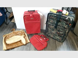 Assorted Luggage Set