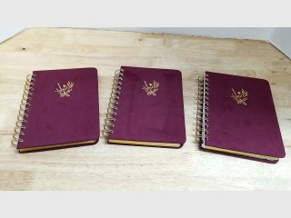 New Purple Velvet Notebooks Set
