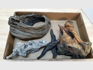 Driftwood Assortment