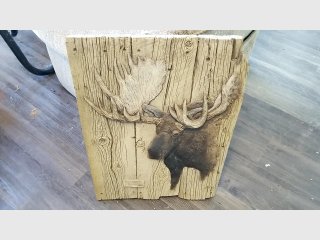 Moose Head Wall Plaque, 17x24 in
