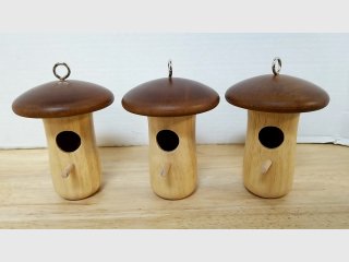 Wooden Mushroom Birdhouses with twine, each 5 inch