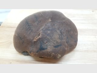 Etched Artist Conk Fungus, signed,  9 in