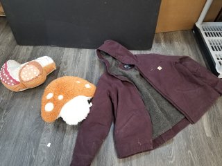 Carhart coat 2x, needs cleaning, and pillows 