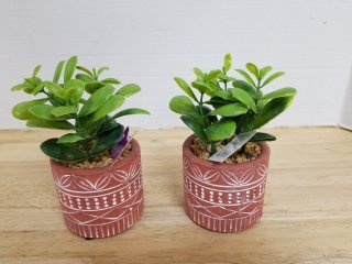 New artificial succulents each approx 6 inch tall 