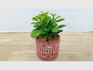 New Artificial Jade Plant in Terracotta Pot