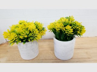 Pair Yellow Faux Succulents in Pots, 6 inch