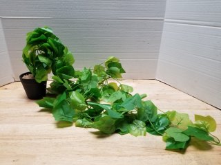 New artificial potted vine, 3x3 pit and 24 inch ivy