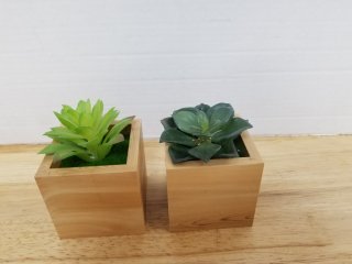 New artificial plants each approx 5 inch