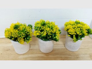 New 3 Yellow Artificial Succulents in Pots