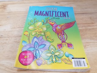 New Color Me Magnificent Hummingbirds Book