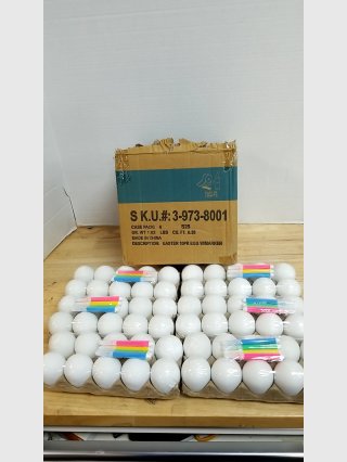Bulk White Plastic Easter Eggs w/ Box