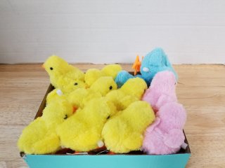 New wind up hopping chicks 