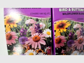 Wildflower Blend Seed Packets 100 sq ft