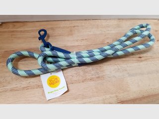 New Squad Rope Dog Leash Blue/Green