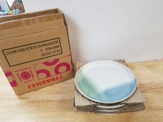 New 4 pack dinner plates 8 inch