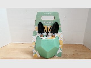 Lemon Grove Potting Kit, some damage on vase