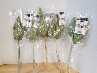 New dried floral, each approx 20 inch 