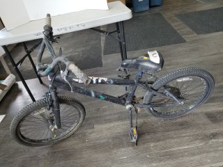 Next 20 youth bike 