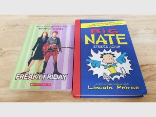 Freaky Friday & Big Nate Books