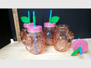 Pink Flamingo Mason Glass Jar Tumblers w/Straws