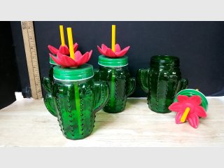Cactus Shaped Glass Jars Set