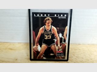 Larry Bird NBA Card