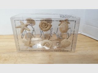 India Ink Seashell Decorative Hooks