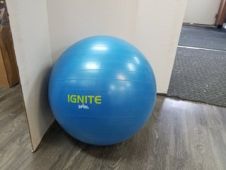 Exercise ball approx 24 inch tall 