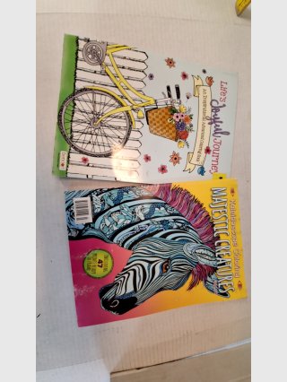 2 Adult Coloring Books