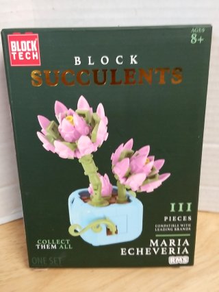 New Block Succulents Building Set