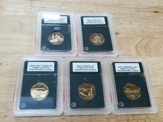 5 Clad State Quarters