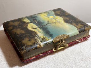 Antique celluloid velvet Victorian photograph album, 1800-1900’s