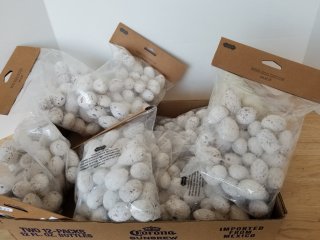 New mini egg decor 