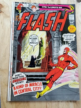 DC Flash Comic Book, 25 cent, No. 208,vg