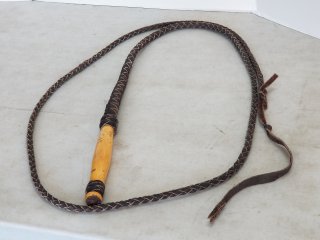 8 foot whip