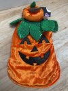Item #85 — Pumpkin Dog Halloween Costume