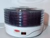 Item #138 — Back to Basics Food Dehydrater, 5 trays, excellent condition