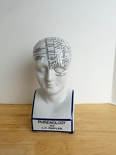 Item #70 — Phrenology Head Fowler Bust, 12 inch, exc cond photo 1 of 5