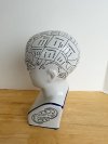 Item #70 — Phrenology Head Fowler Bust, 12 inch, exc cond photo 2 of 5