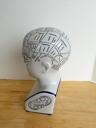 Item #70 — Phrenology Head Fowler Bust, 12 inch, exc cond photo 2 of 5