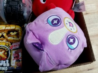 Item #326 — Care Bears & Squishmallows Lot photo 4 of 4