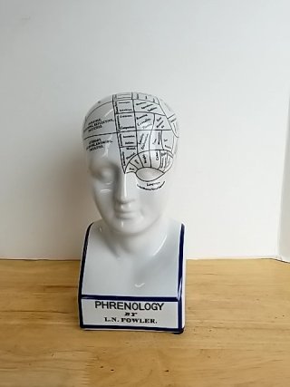 Item #70 — Phrenology Head Fowler Bust, 12 inch, exc cond photo 1 of 5