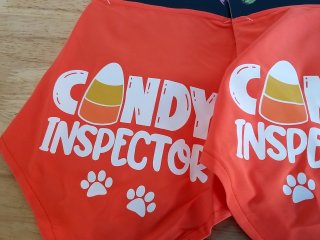 Item #272 — Halloween Dog Bandanas - Candy Inspector photo 2 of 3