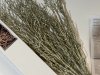 Item #459 — Glitter light up Branches 43 inch long photo 2 of 7